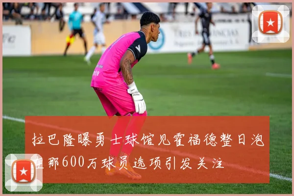 拉巴隆曝勇士球馆见霍福德整日泡在那600万球员选项引发关注